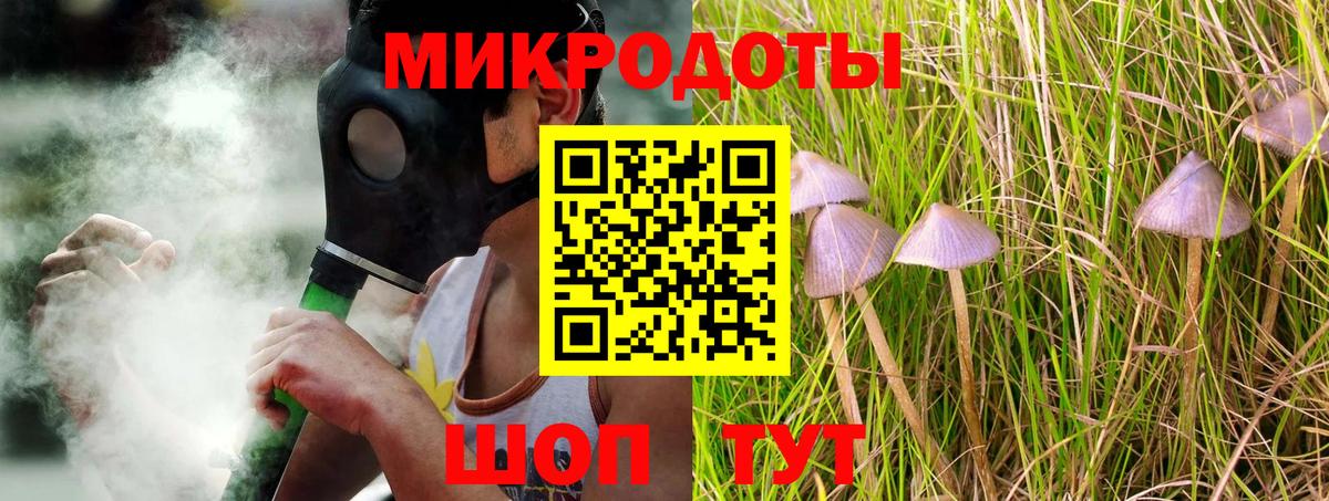 Мичуринск  Псилоцибиновые грибы GOLDEN TEACHER  наркотики  Галлюциногенные грибы мицелий  Вход с VPN 